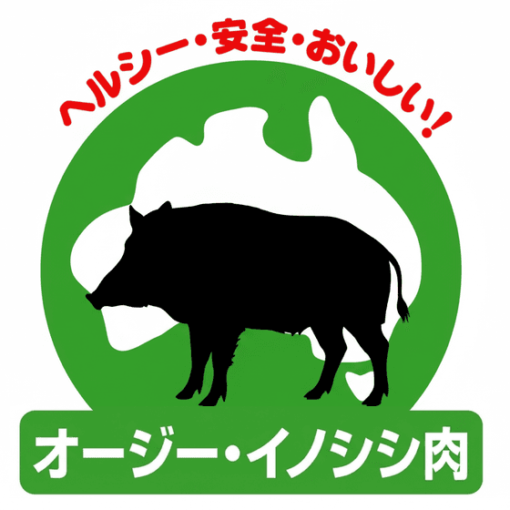 バラマンディ