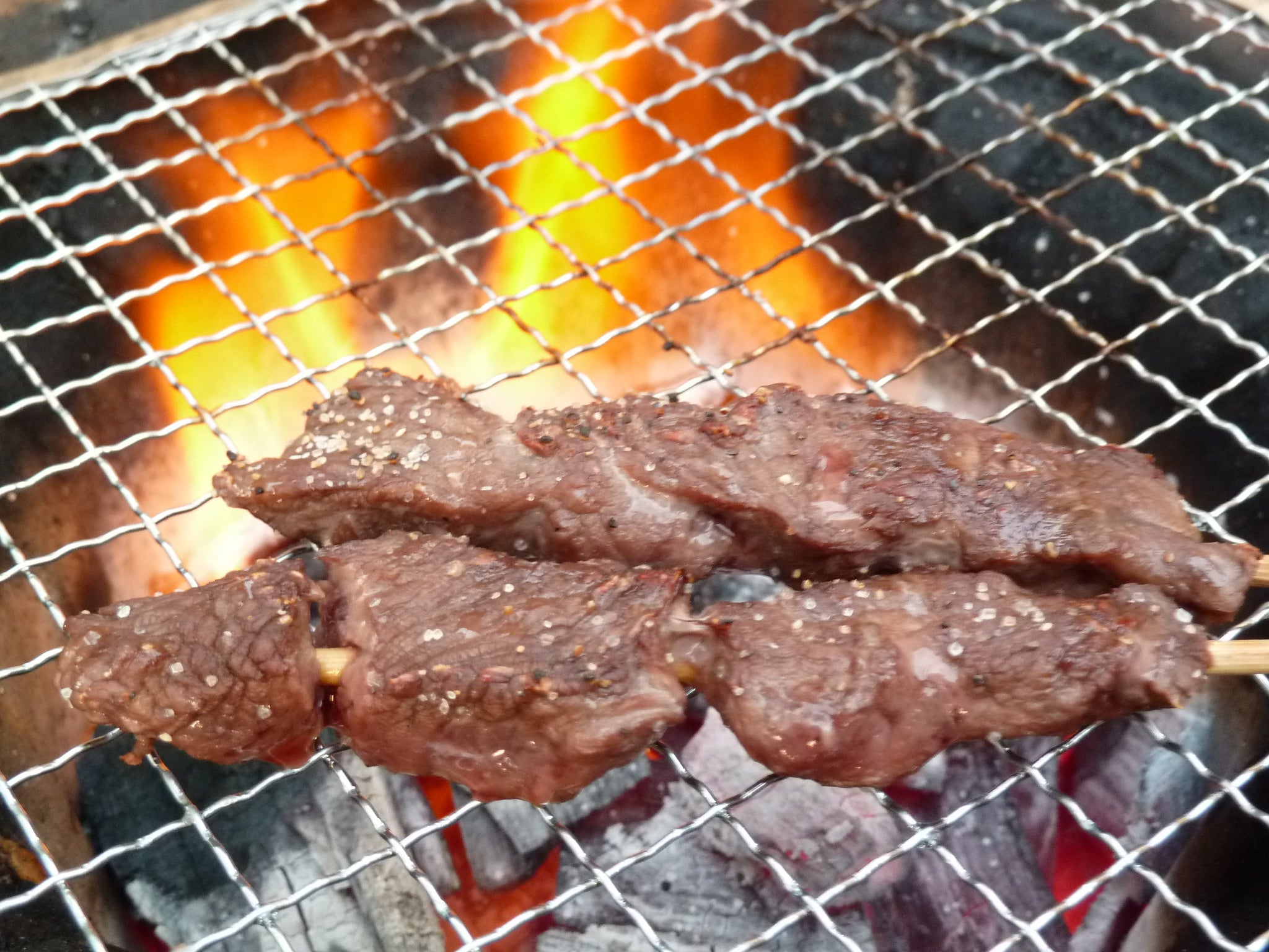 DOPPELGANGER - DOD スーパーイージーBBQグリル 超レア、希少ドッペルギャンガー 新品 DOD スーパーイージーBBQグリルの商品紹介 | hinata〜もっとそと